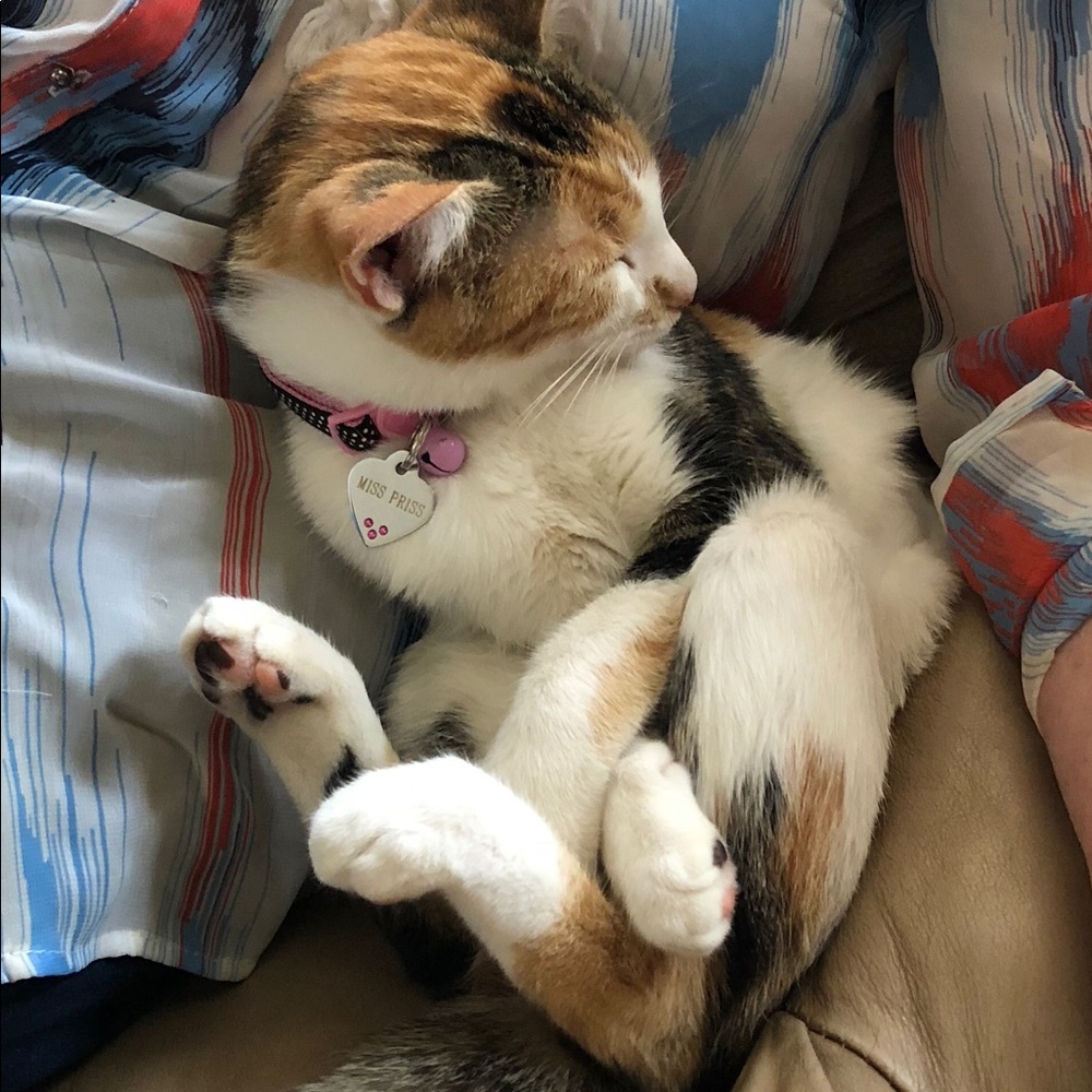 Meet your Posher, Kelly